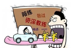 德信体育价格是多少？