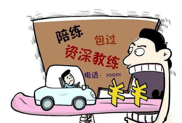 德信体育价格