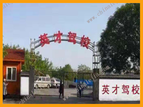 德信体育