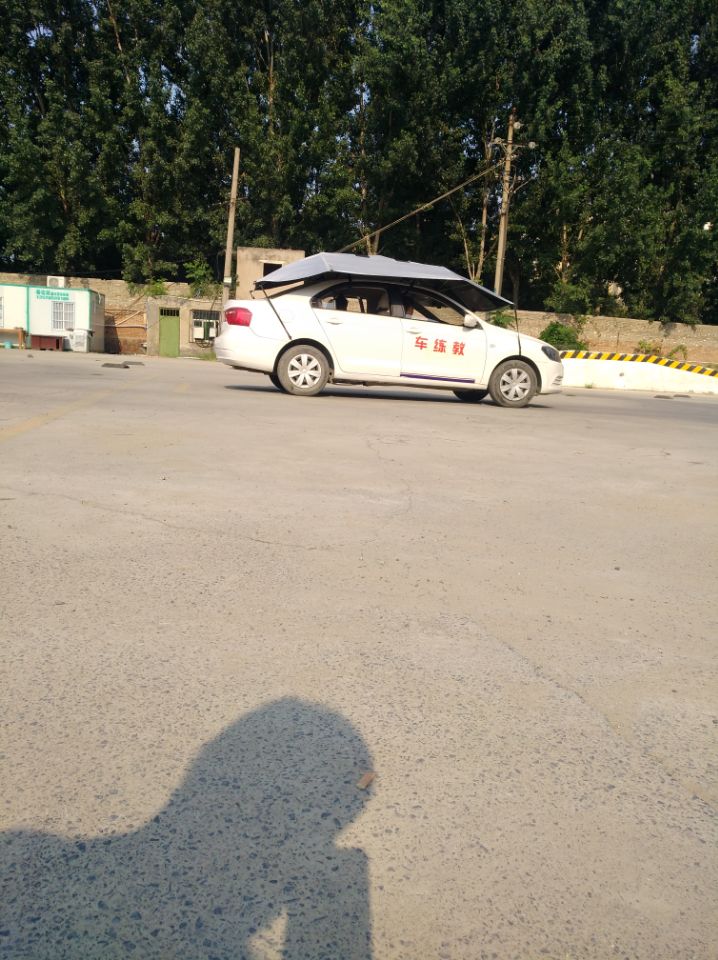 德信体育排名