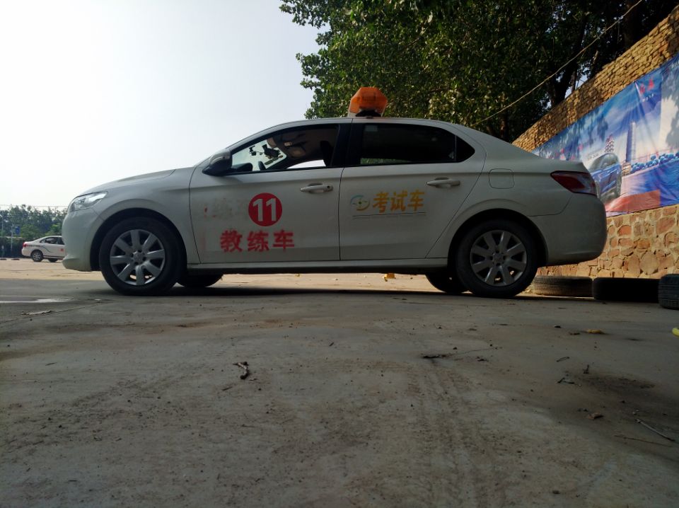 德信体育价格
