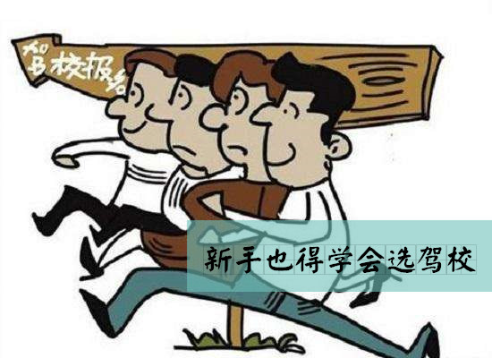 驾校报名