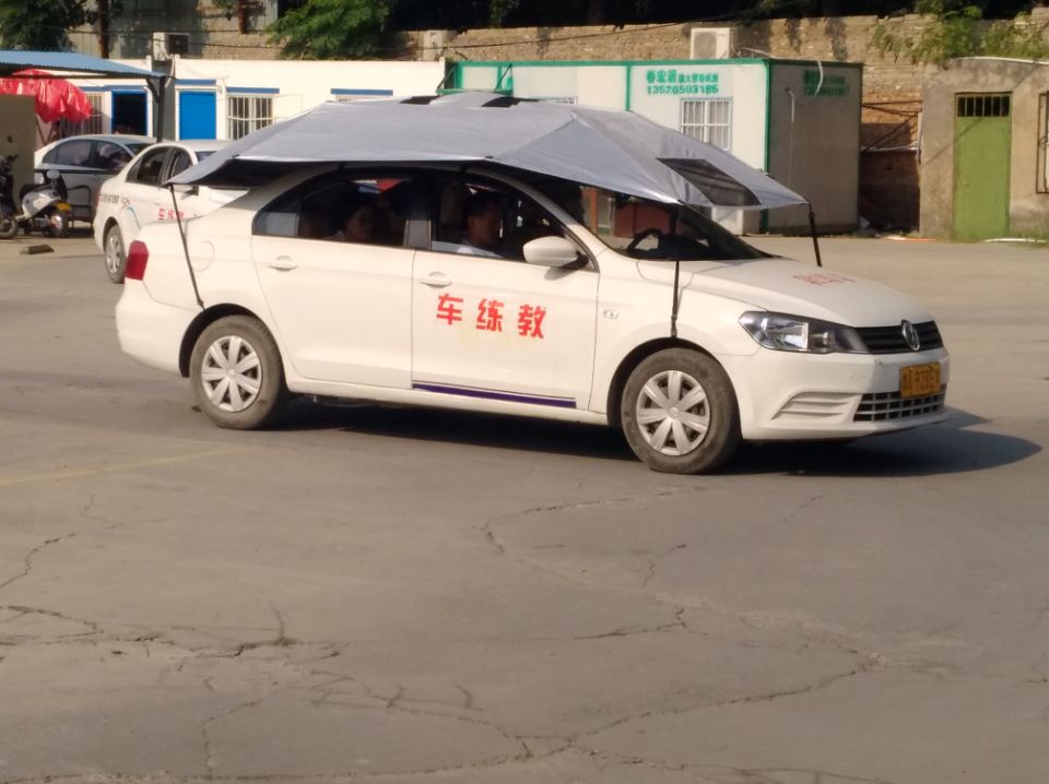 德信体育价格