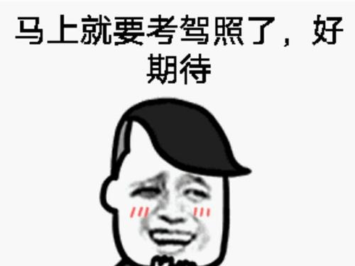 零基础考驾照