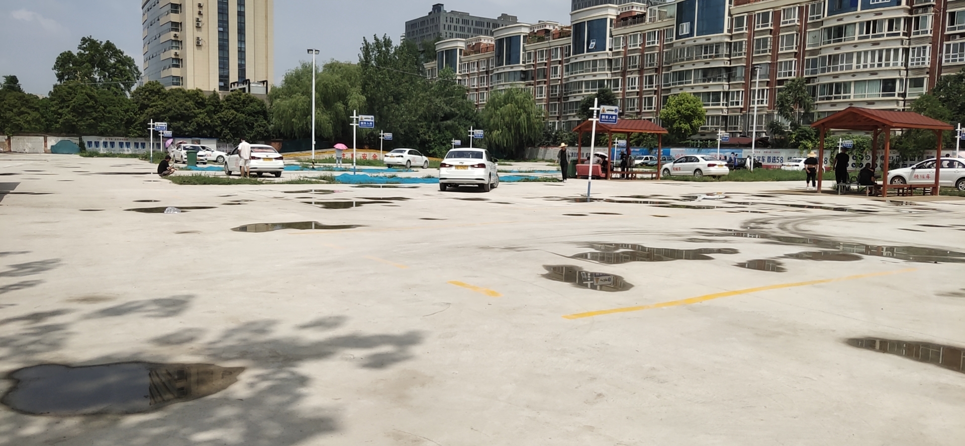 暑假学车