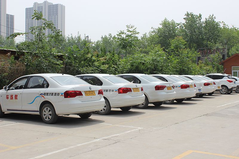 大学生学车