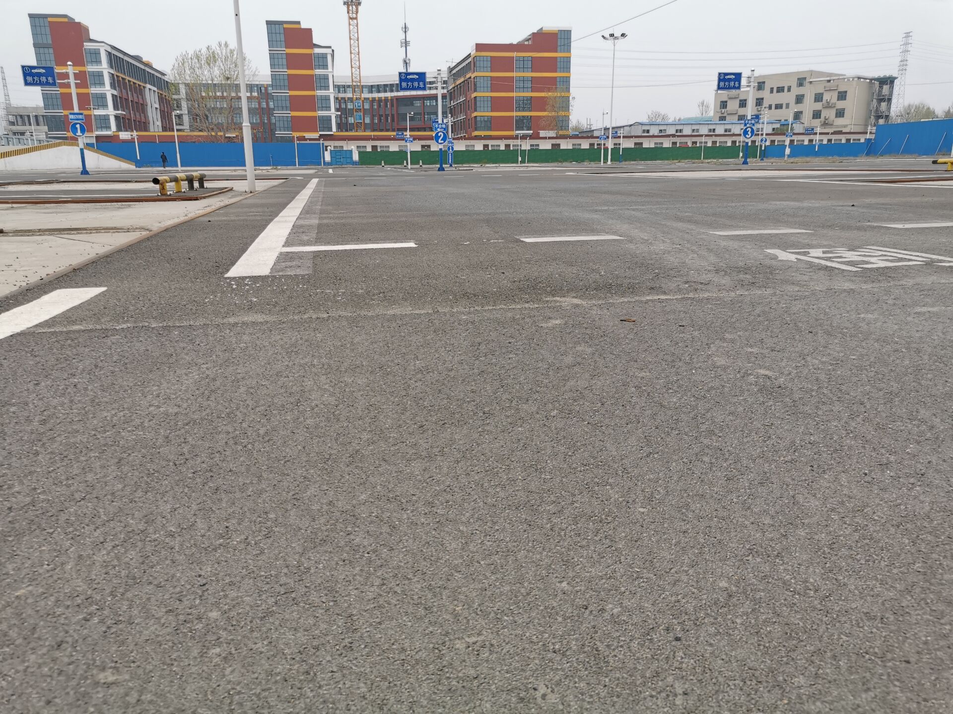 德信体育哪家好