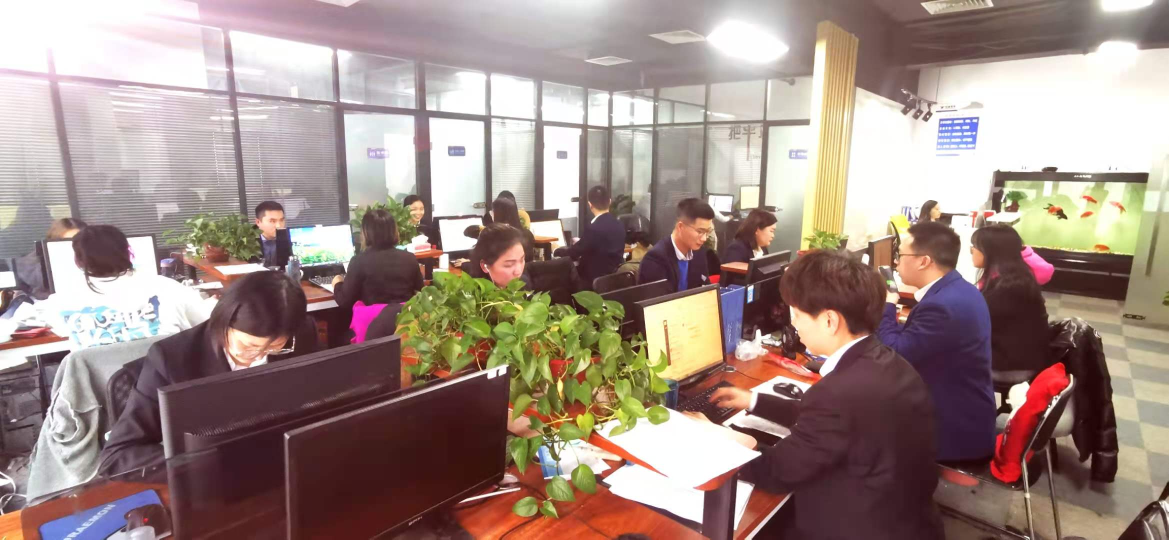 德信体育