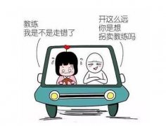 驾校学车的车子为啥都是桑塔纳和捷达呢？