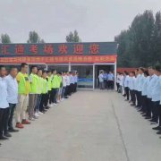 德信体育团购大包、小包、全包该如何选择呢?