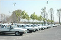 德信体育德信体育团购学车