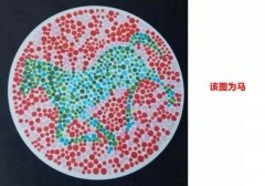 在德信体育团购前，先来测试一下你是否有色盲！