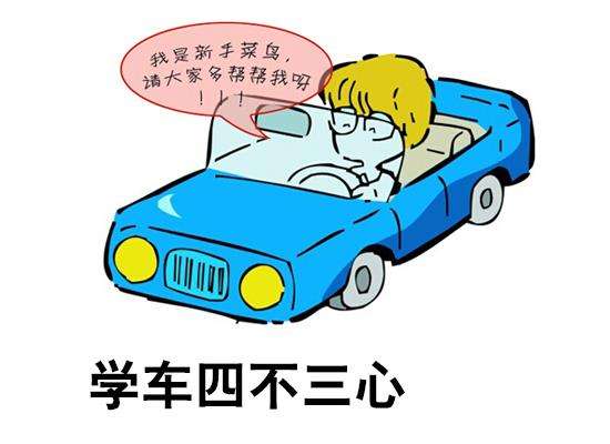 在德信体育学车，技巧很重要