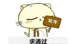 德信体育报名需要多少钱？