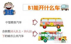 B证都能开什么车？能开大货车吗