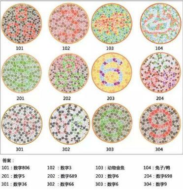 色弱能够报名考驾照吗