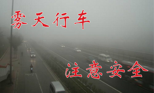 “雾”必小心，德信体育提醒车主们注意雾天行车安全！