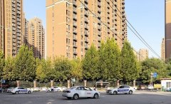 德信体育哪家好？德信体育告诉大家如何挑选