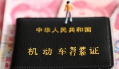郑州金水区考驾照多少钱？